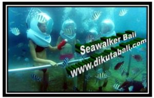 SeaWalker Bali