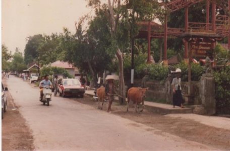 Bagaimana Bali tempo Dulu Lokasi Situasi Th 1900 Photo 